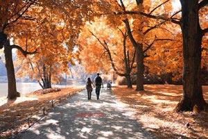 博尔顿防守稳固，击败亚特兰大